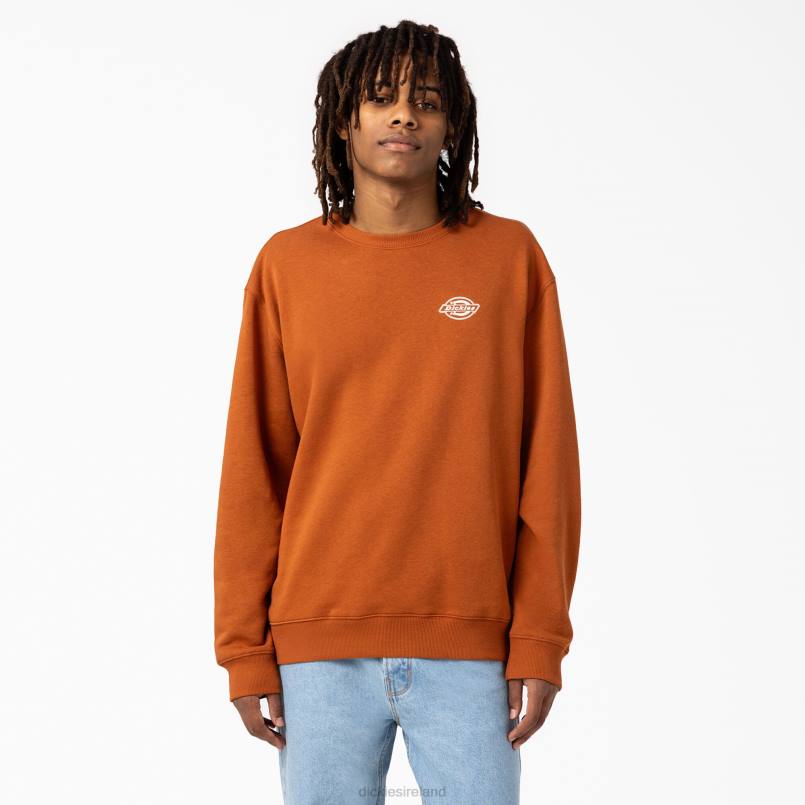Dickies Men Holtville Sweatshirt Regular N80J1095 Apparel