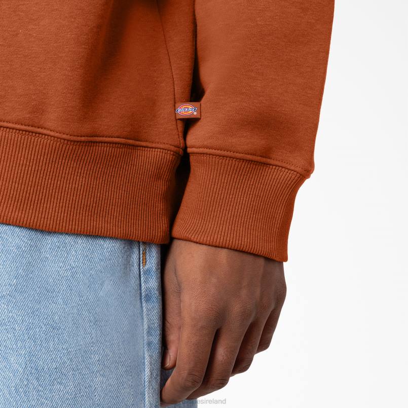 Dickies Men Holtville Sweatshirt Regular N80J1095 Apparel