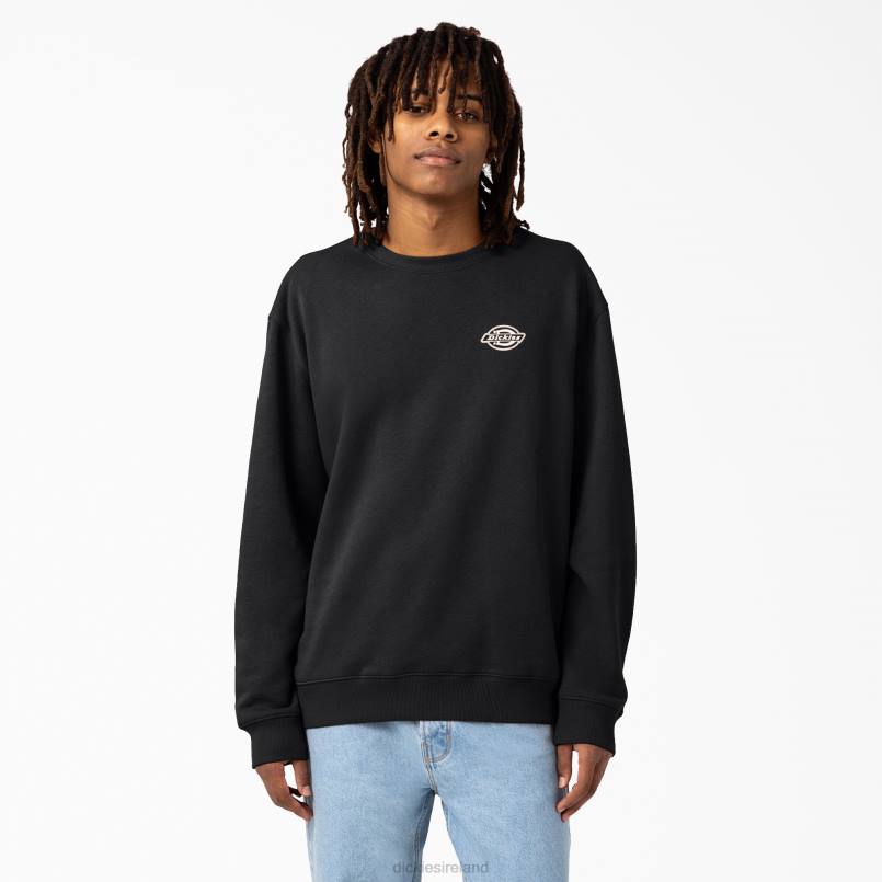 Dickies Men Holtville Sweatshirt Regular N80J1096 Apparel