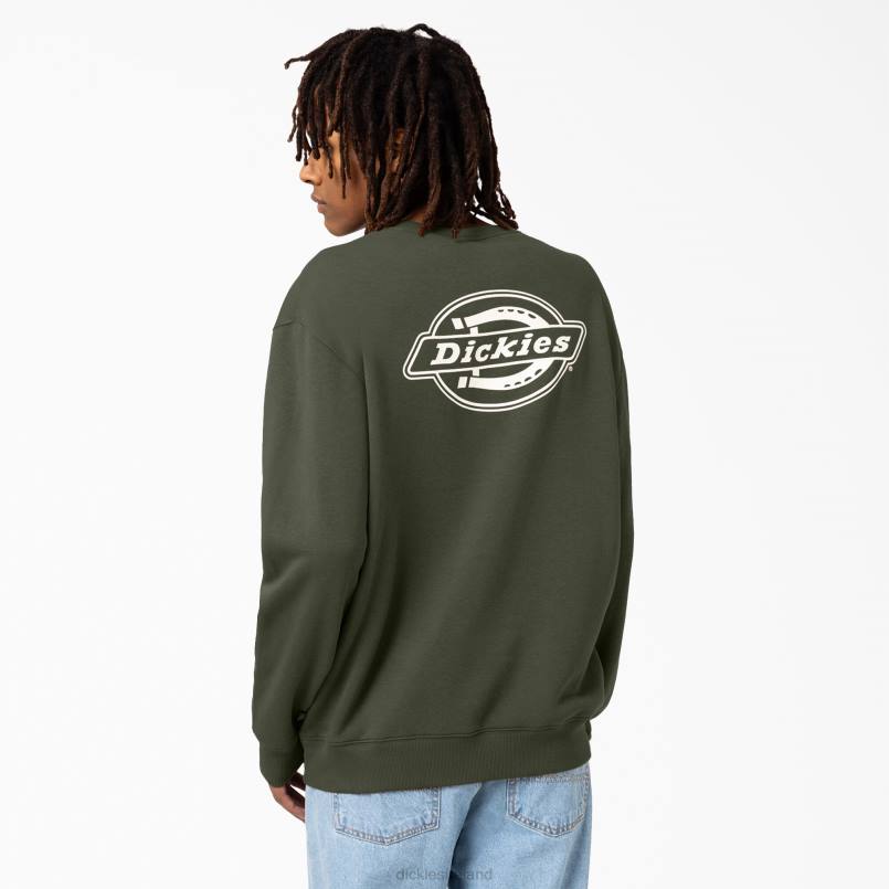 Dickies Men Holtville Sweatshirt Regular N80J1097 Apparel