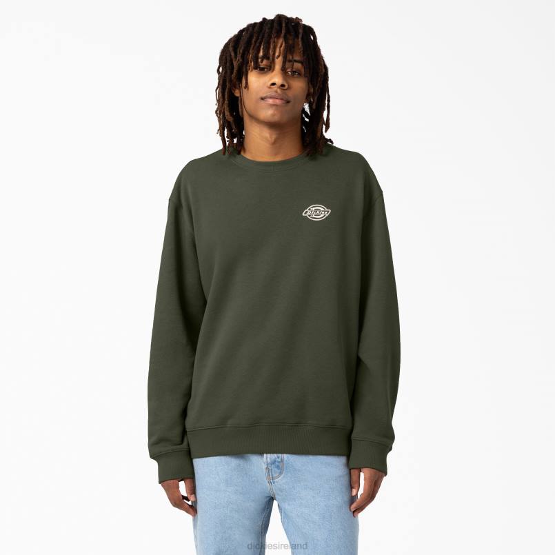 Dickies Men Holtville Sweatshirt Regular N80J1097 Apparel