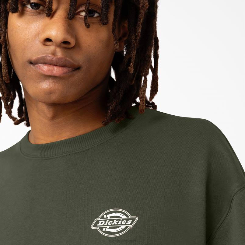 Dickies Men Holtville Sweatshirt Regular N80J1097 Apparel