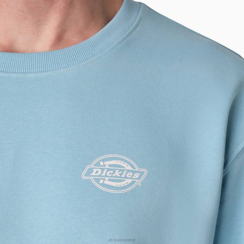 Dickies Men Holtville Sweatshirt Regular N80J1098 Apparel