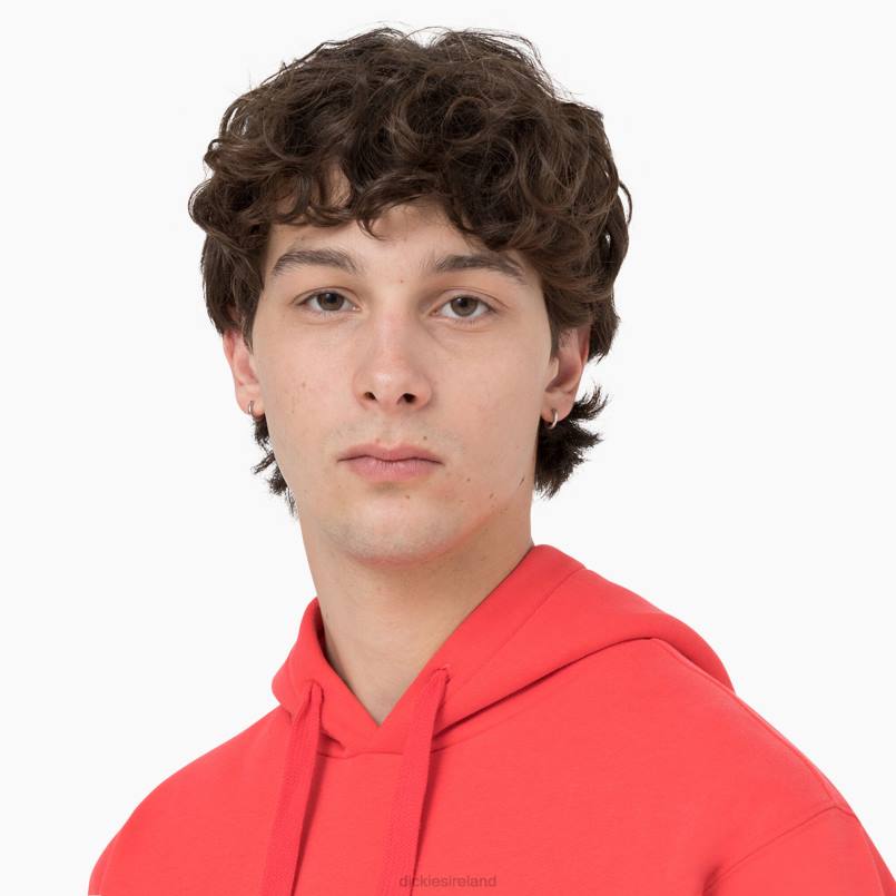 Dickies Men Summerdale Hoodie Scarlet Ibis (S2S) N80J1184 Apparel