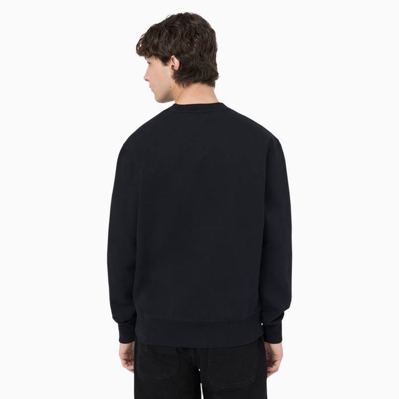 Dickies Men Summerdale Sweatshirt Black (KBK) N80J975 Apparel