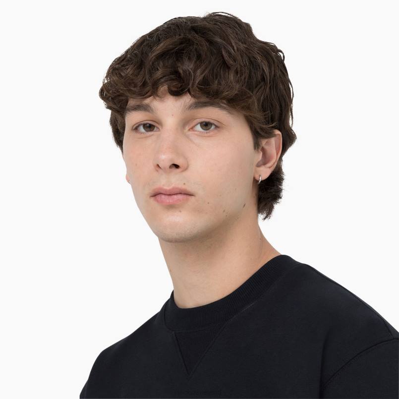 Dickies Men Summerdale Sweatshirt Black (KBK) N80J975 Apparel