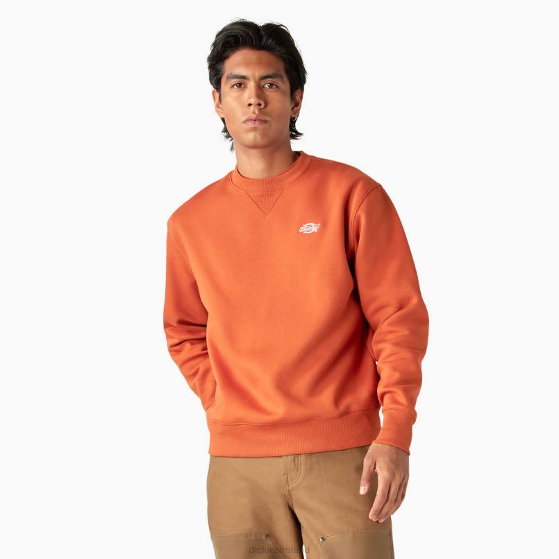 Dickies Men Summerdale Sweatshirt Bombay Brown (B2B) N80J973 Apparel