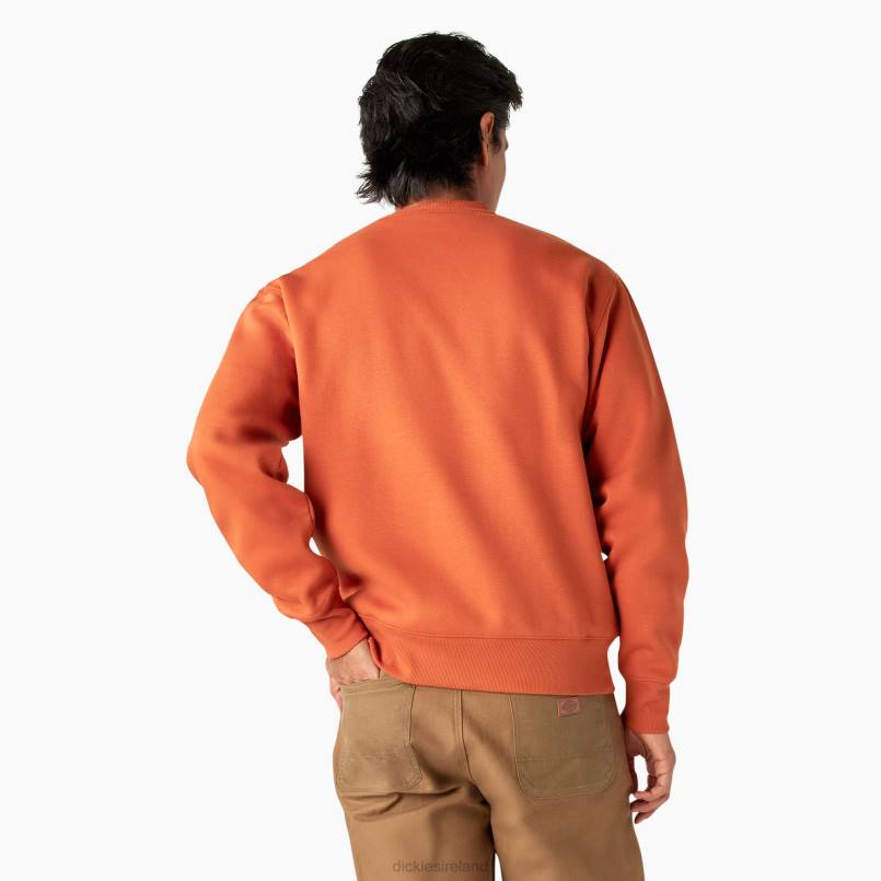 Dickies Men Summerdale Sweatshirt Bombay Brown (B2B) N80J973 Apparel
