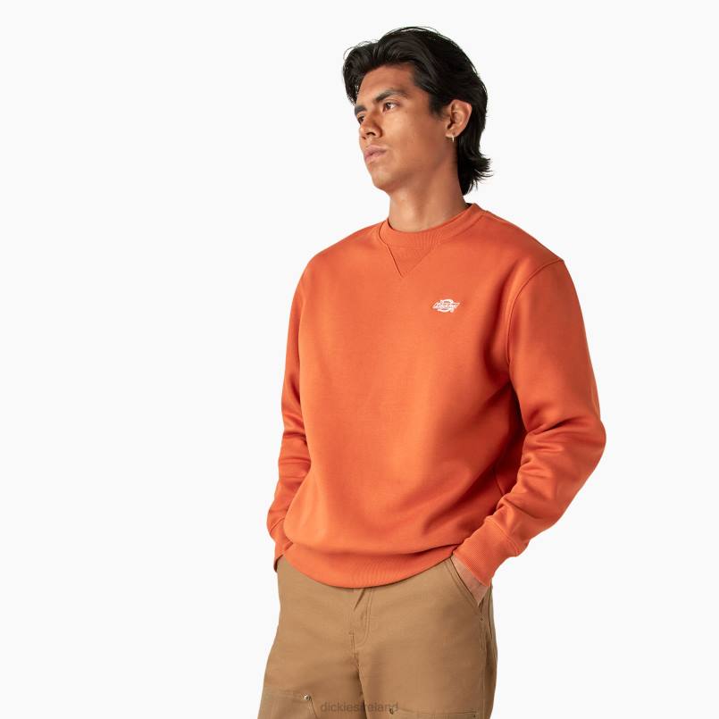 Dickies Men Summerdale Sweatshirt Bombay Brown (B2B) N80J973 Apparel