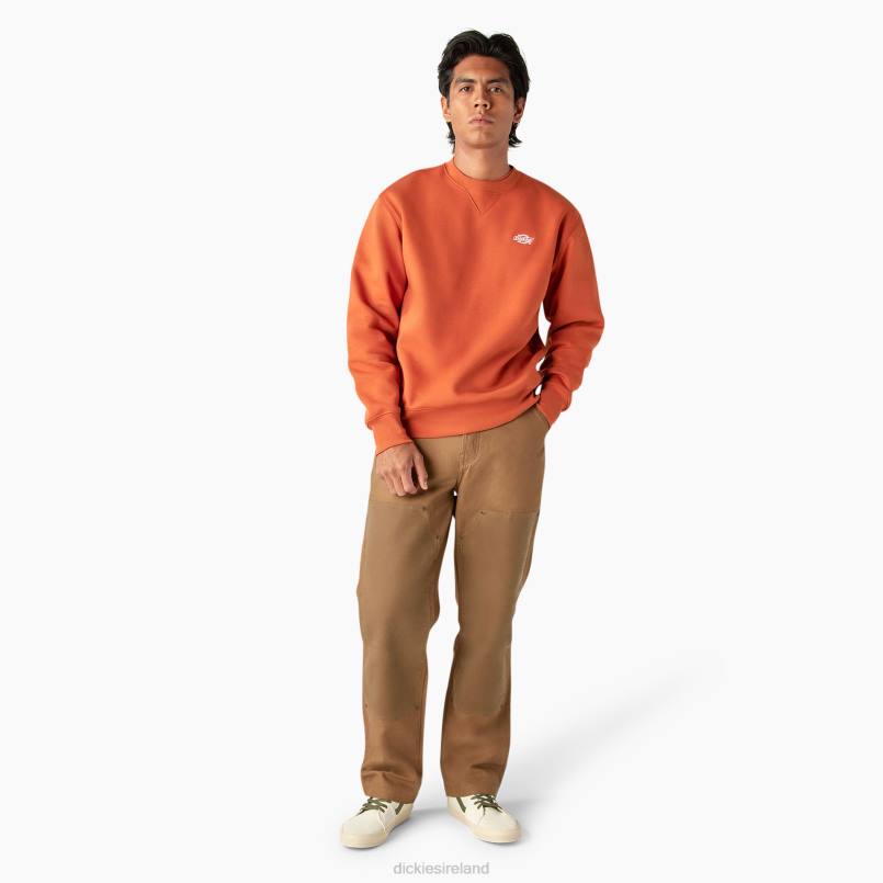 Dickies Men Summerdale Sweatshirt Bombay Brown (B2B) N80J973 Apparel