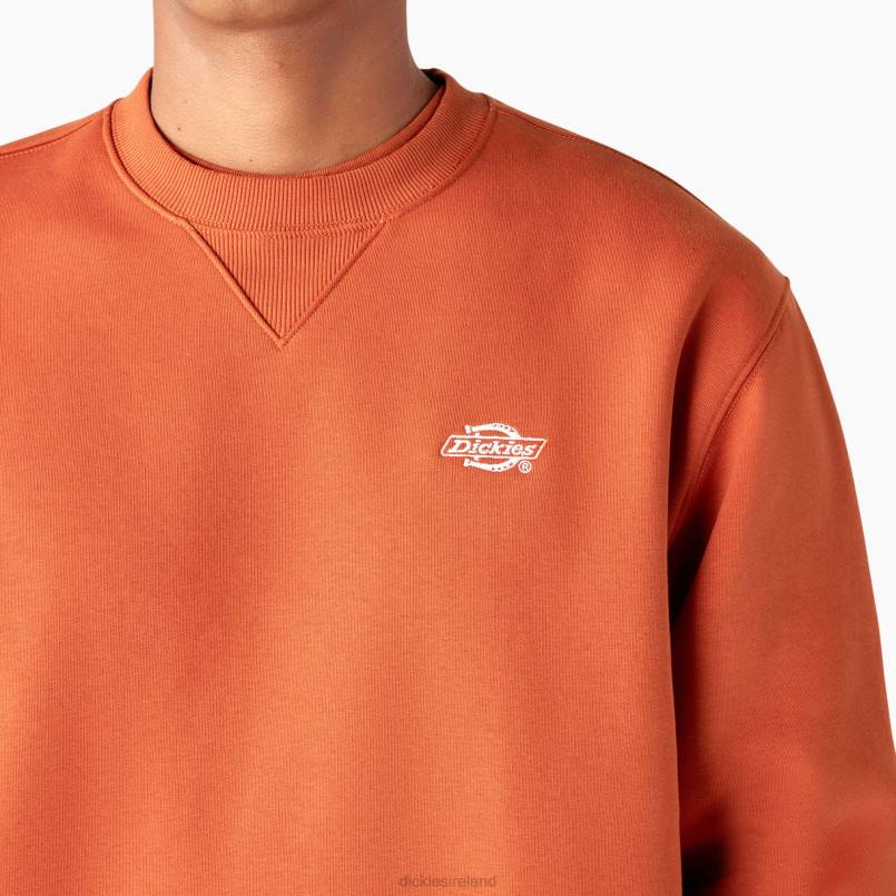 Dickies Men Summerdale Sweatshirt Bombay Brown (B2B) N80J973 Apparel