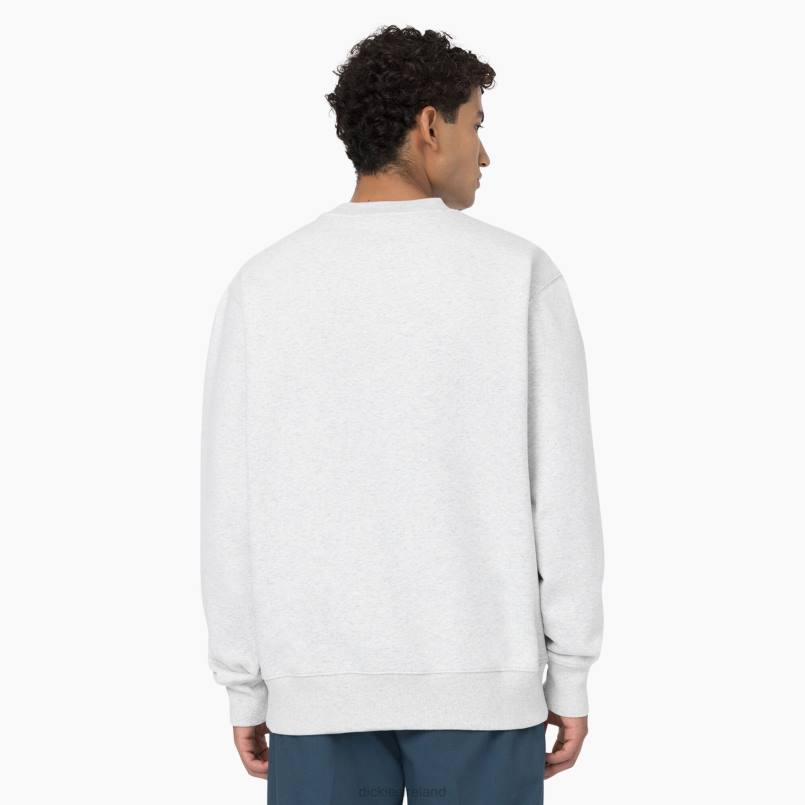 Dickies Men Summerdale Sweatshirt Heather Gray (HG) N80J974 Apparel