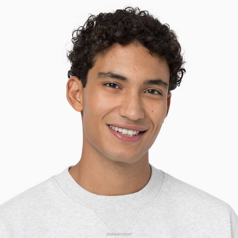 Dickies Men Summerdale Sweatshirt Heather Gray (HG) N80J974 Apparel