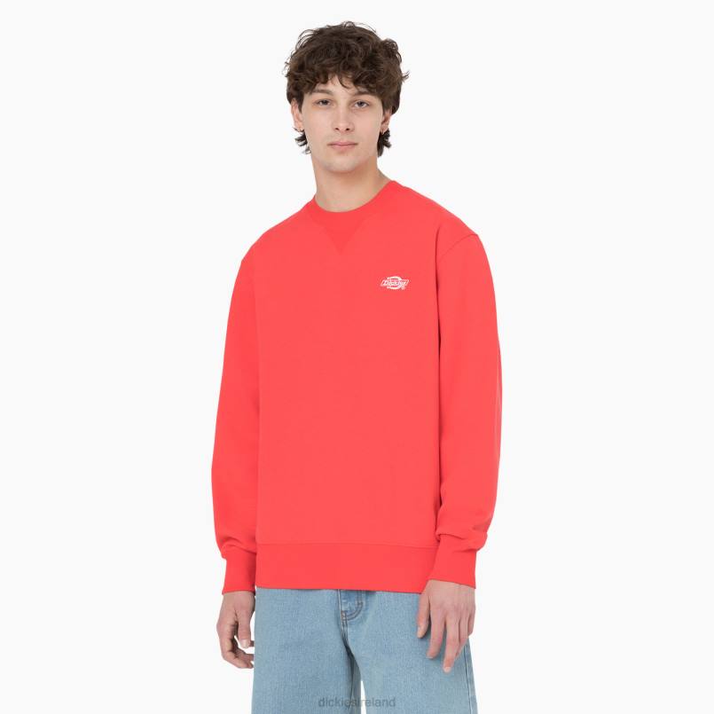 Dickies Men Summerdale Sweatshirt Scarlet Ibis (S2S) N80J976 Apparel