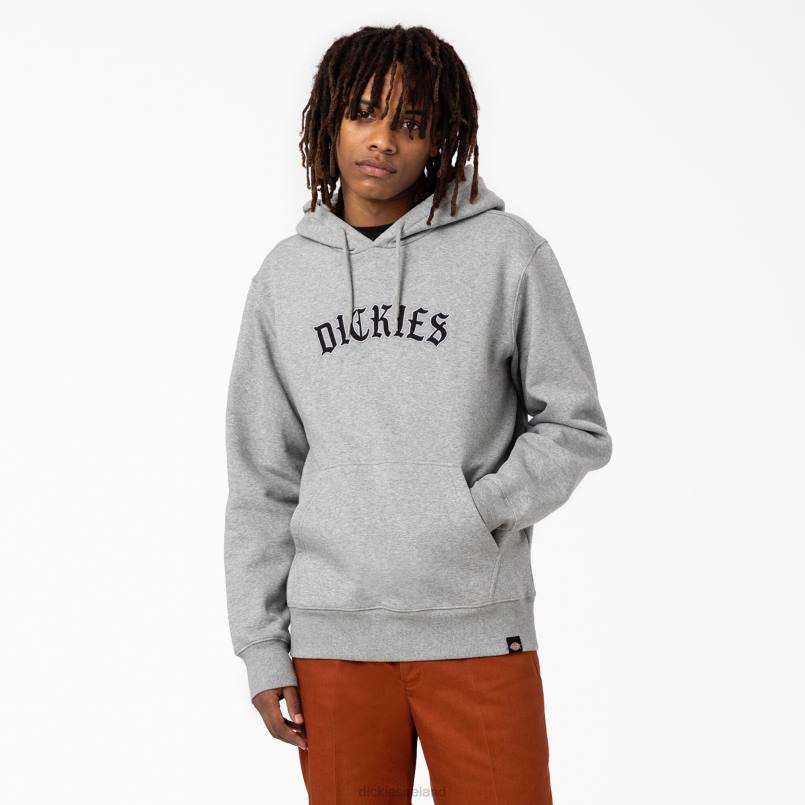 Dickies Men Union Springs Logo Hoodie Regular N80J1151 Apparel