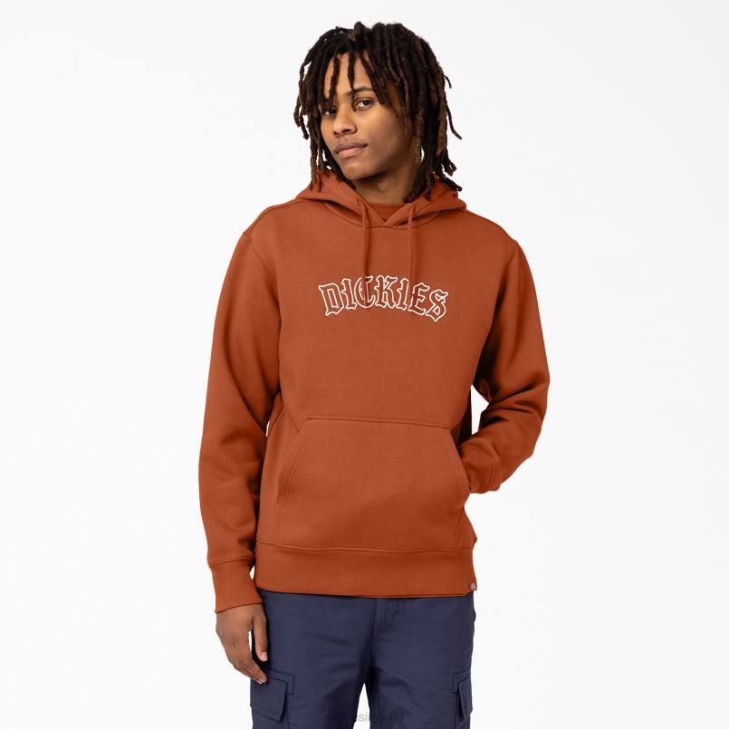 Dickies Men Union Springs Logo Hoodie Regular N80J1152 Apparel