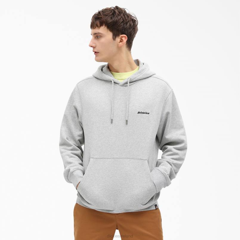 Dickies Men Uniontown Hoodie Regular N80J1090 Apparel