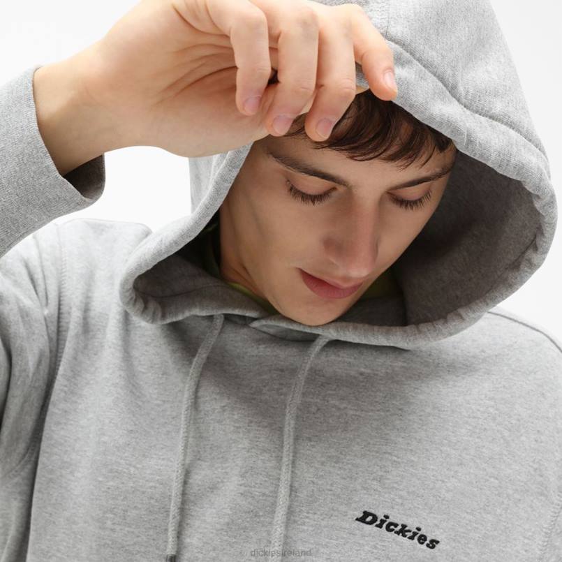 Dickies Men Uniontown Hoodie Regular N80J1090 Apparel