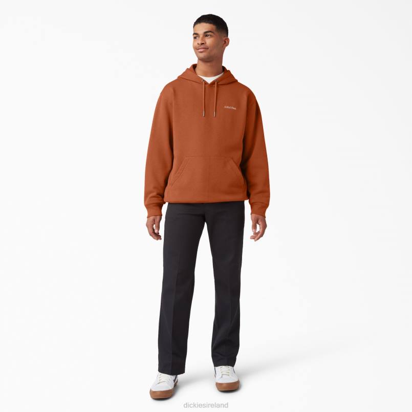 Dickies Men Uniontown Hoodie Regular N80J1091 Apparel