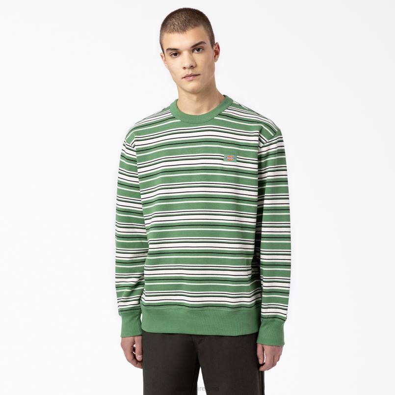 Dickies Men Westover Striped Sweatshirt Regular N80J1119 Apparel