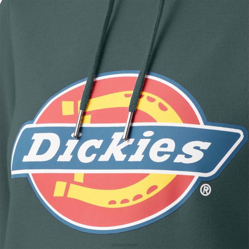 Dickies Women Heavyweight Logo Pullover Lincoln Green (LN) N80J2332 Apparel