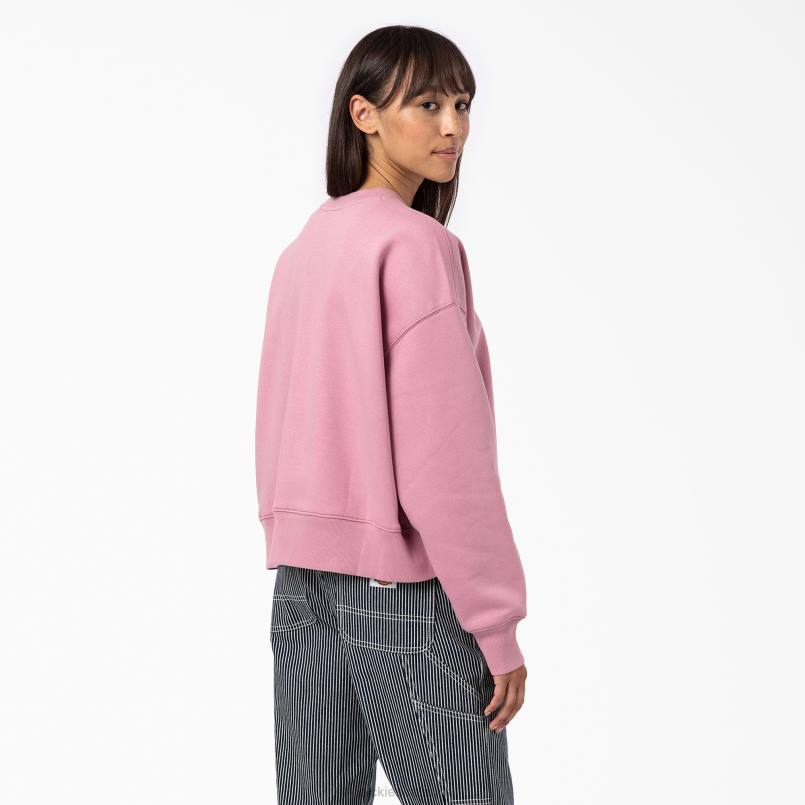 Dickies Women Summerdale Sweatshirt Foxglove (F2G) N80J2292 Apparel