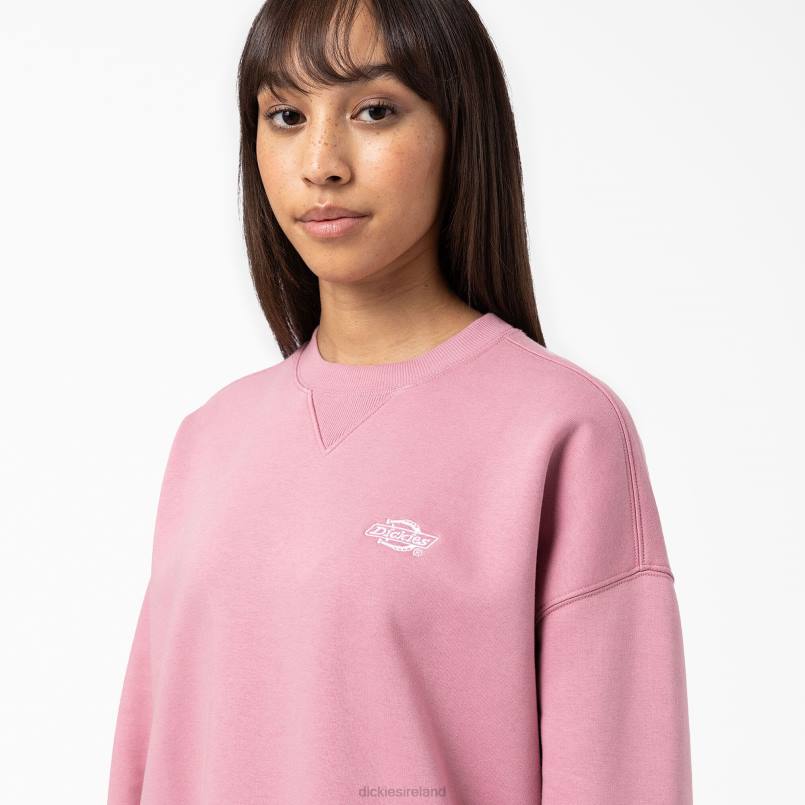 Dickies Women Summerdale Sweatshirt Foxglove (F2G) N80J2292 Apparel