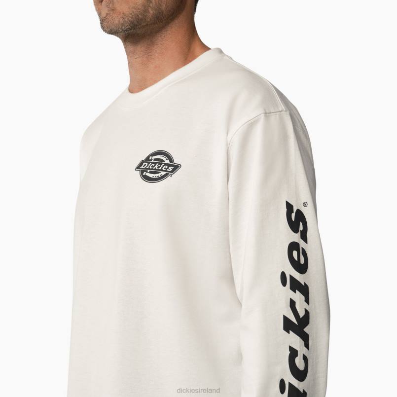 Dickies Men Long Sleeve Heavyweight Logo T-Shirt White (WH) N80J872 Apparel