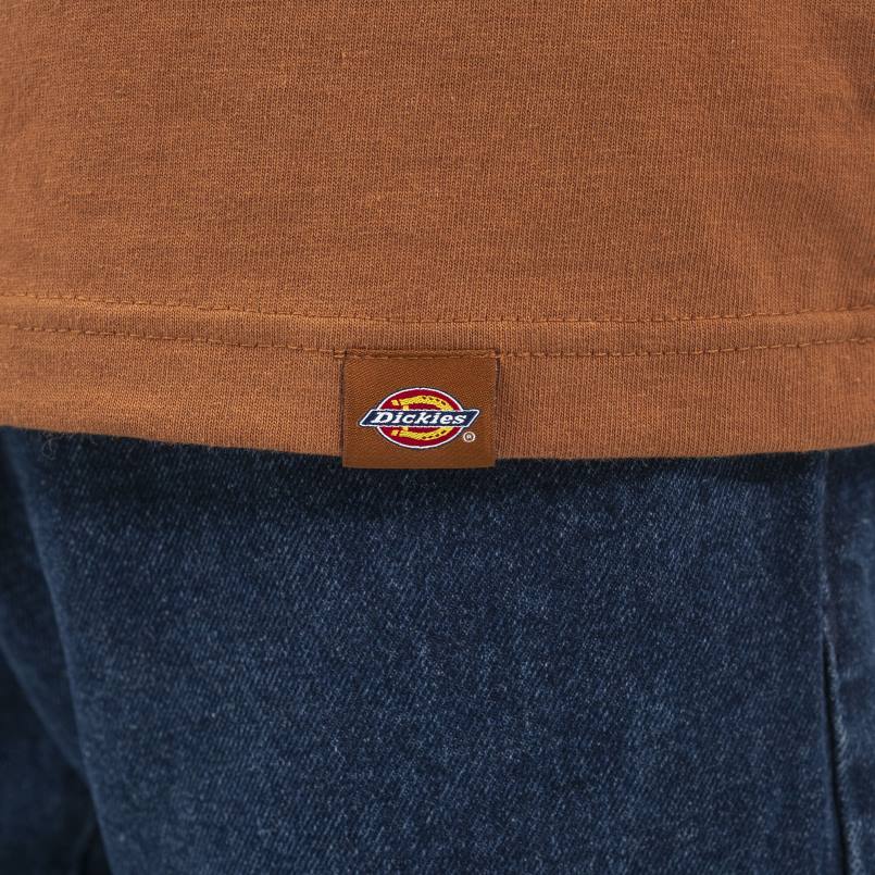 Dickies Men Long Sleeve Henley T-Shirt Gingerbread Brown (IE) N80J807 Apparel
