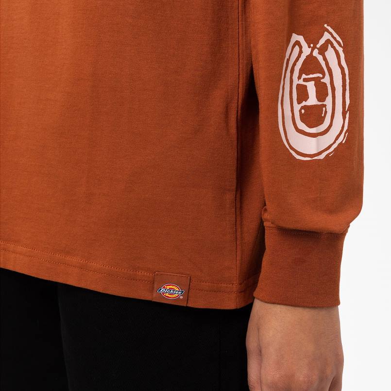 Dickies Women Falkville Long Sleeve T-Shirt Gingerbread Brown (IE) N80J2163 Apparel