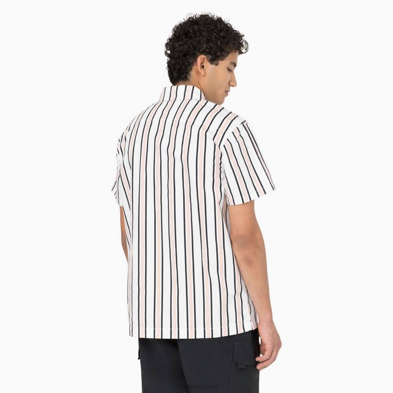 Dickies Men Skateboarding Cooling Relaxed Fit Shirt White/Lotus/Black Stripe (WUS) N80J826 Apparel