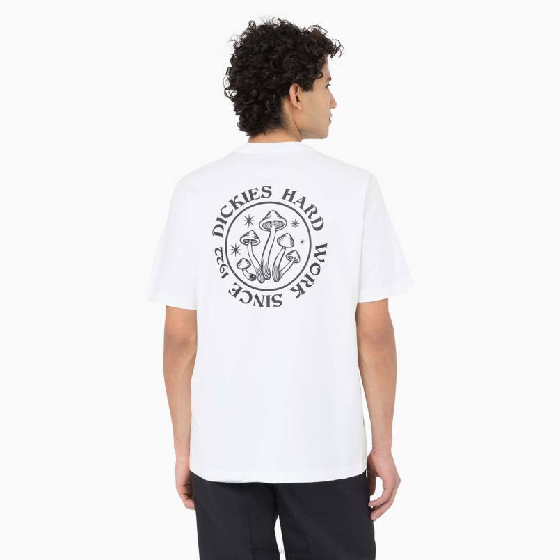 Dickies Men Bayside Gardens Short Sleeve T-Shirt White (WH) N80J586 Apparel
