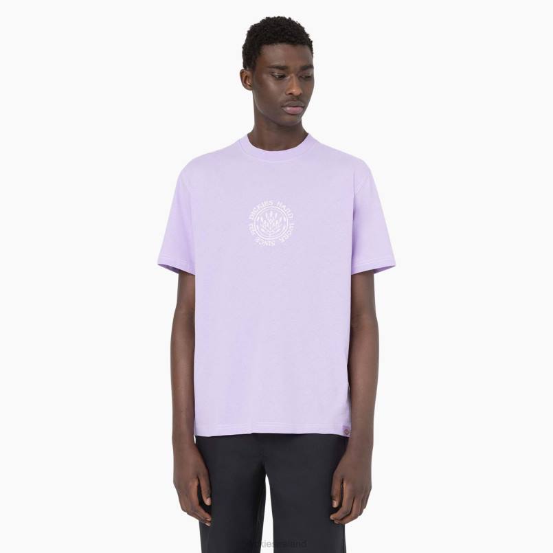 Dickies Men Beavertown Short Sleeve T-Shirt Purple Rose (UR2) N80J875 Apparel