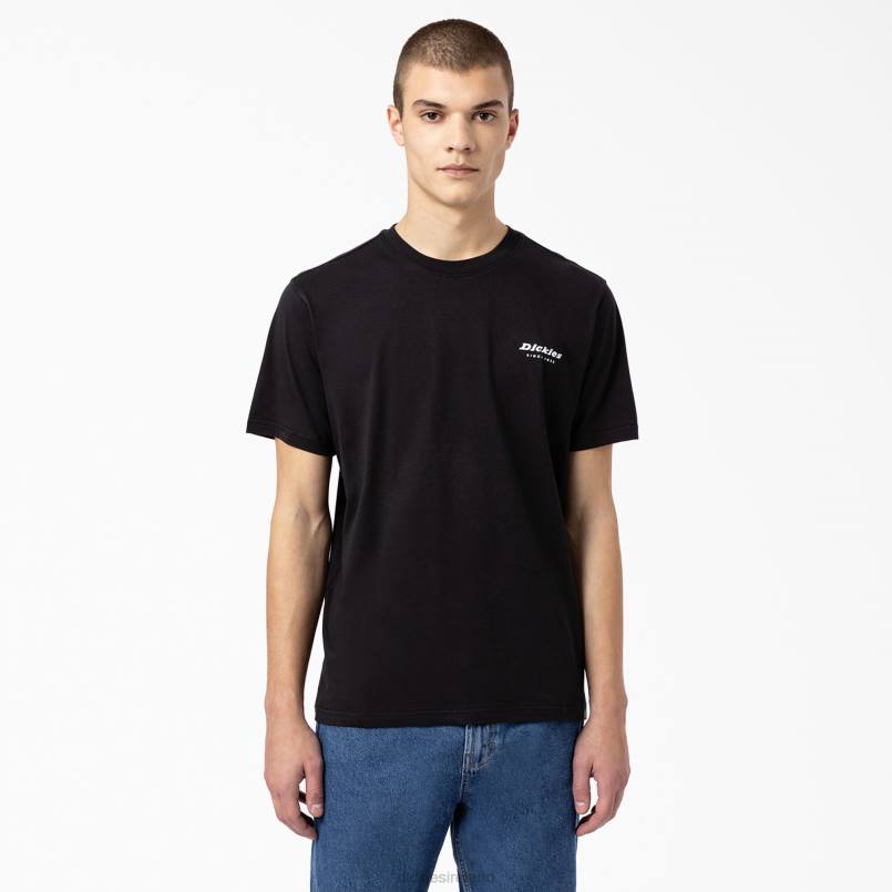 Dickies Men Camden Box Graphic T-Shirt Black (BK) N80J886 Apparel