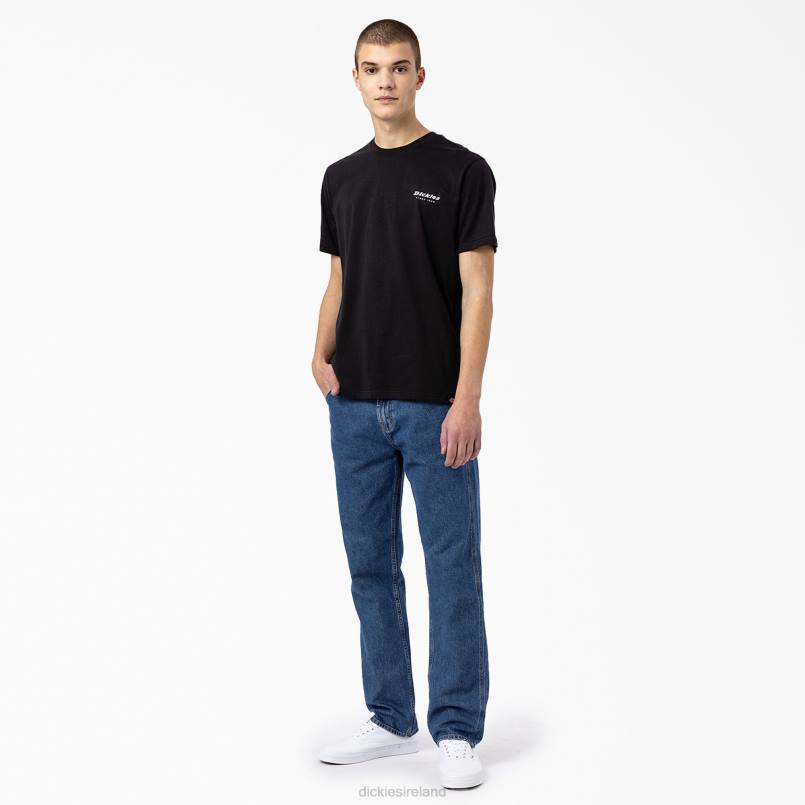 Dickies Men Camden Box Graphic T-Shirt Black (BK) N80J886 Apparel