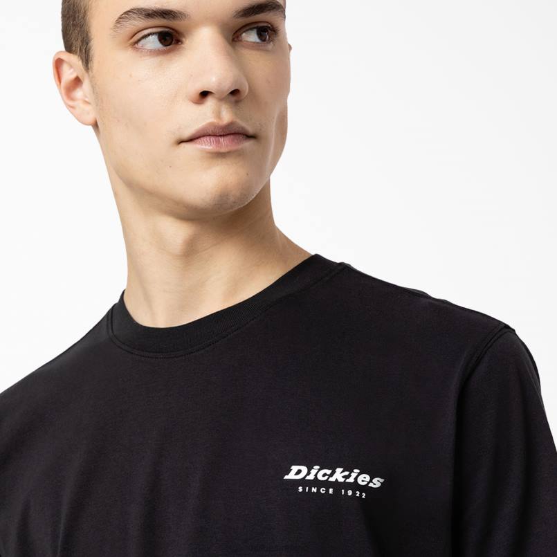 Dickies Men Camden Box Graphic T-Shirt Black (BK) N80J886 Apparel