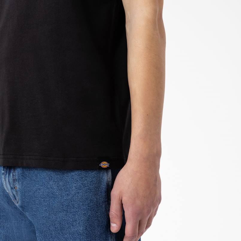 Dickies Men Camden Box Graphic T-Shirt Black (BK) N80J886 Apparel