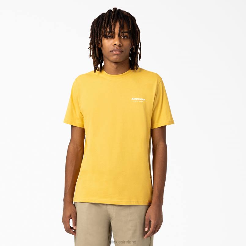 Dickies Men Camden Box Graphic T-Shirt Harvest Gold (GV) N80J887 Apparel