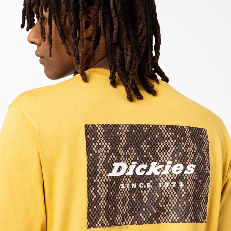 Dickies Men Camden Box Graphic T-Shirt Harvest Gold (GV) N80J887 Apparel