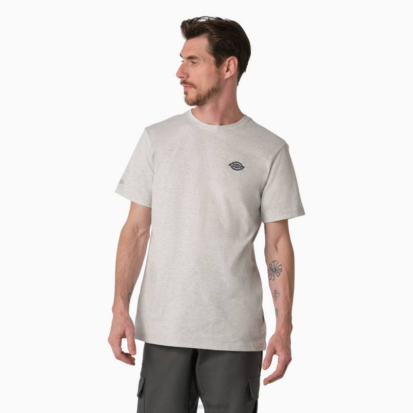 Dickies Men Cooling Performance Graphic T-Shirt Ash Gray (AG) N80J899 Apparel