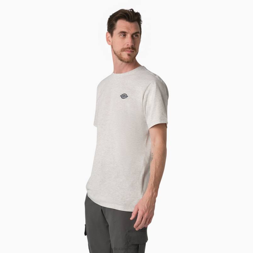 Dickies Men Cooling Performance Graphic T-Shirt Ash Gray (AG) N80J899 Apparel