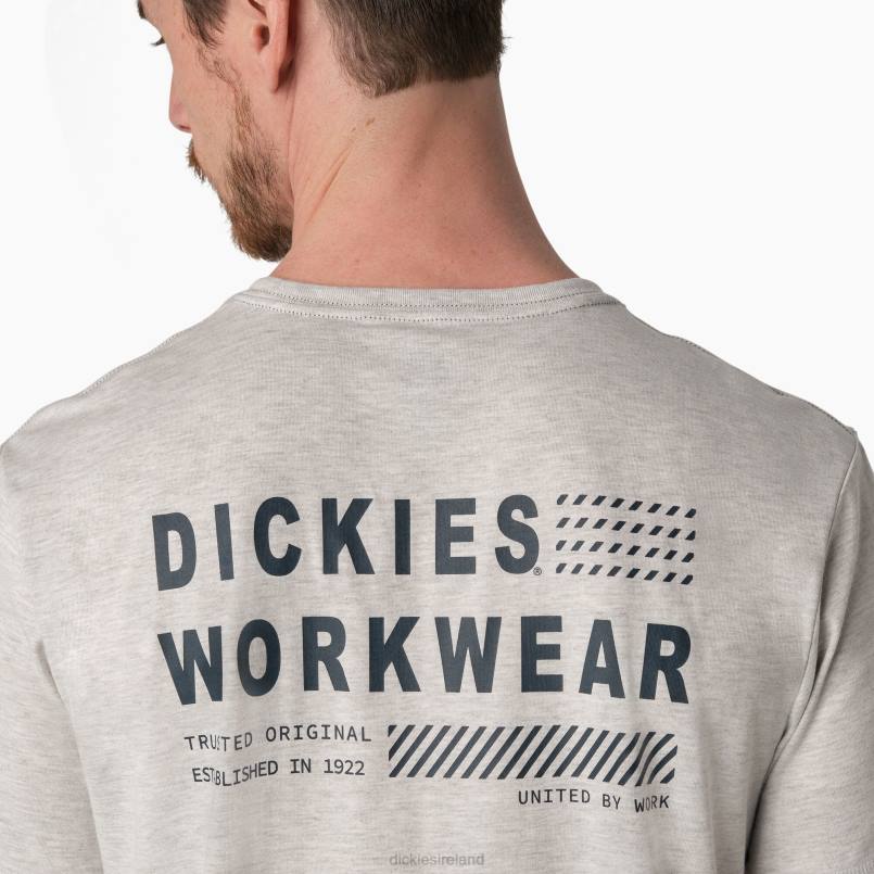 Dickies Men Cooling Performance Graphic T-Shirt Ash Gray (AG) N80J899 Apparel