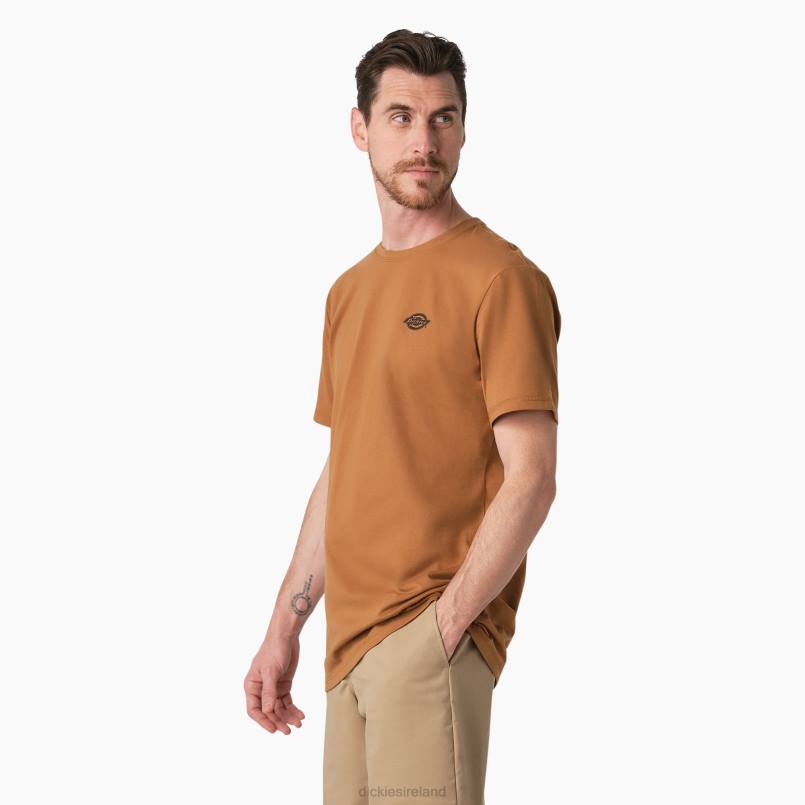 Dickies Men Cooling Performance Graphic T-Shirt Brown Duck (BD) N80J900 Apparel