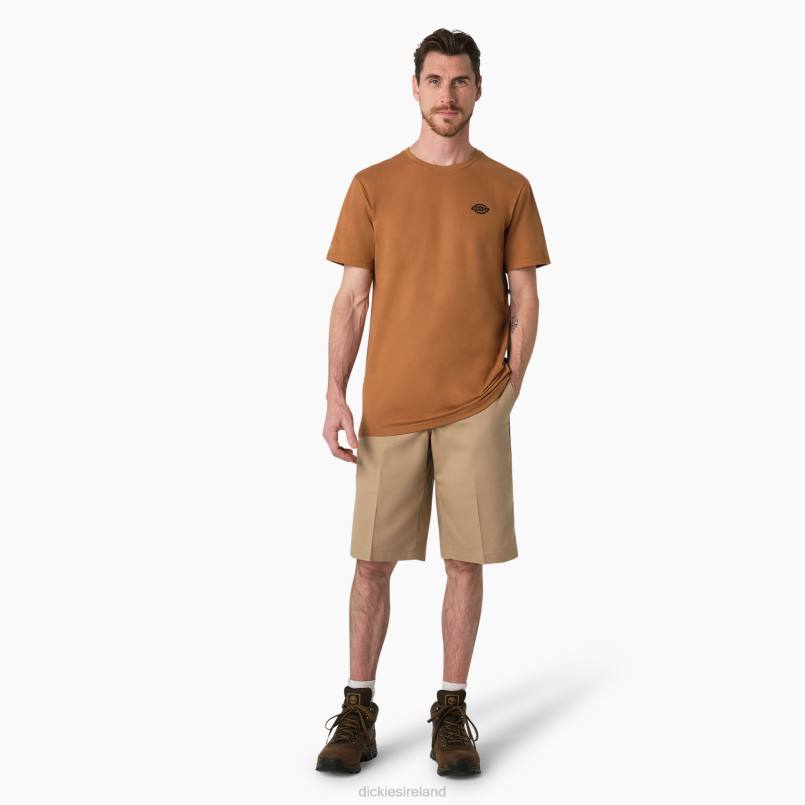 Dickies Men Cooling Performance Graphic T-Shirt Brown Duck (BD) N80J900 Apparel