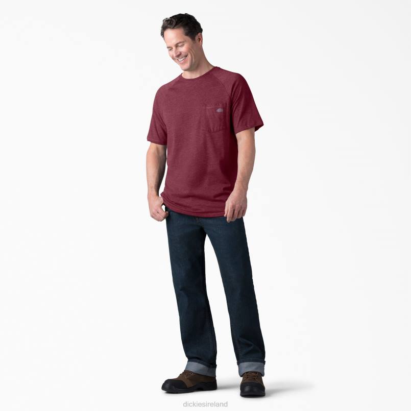Dickies Men Cooling Short Sleeve T-Shirt Burgundy Heather (BYH) N80J539 Apparel