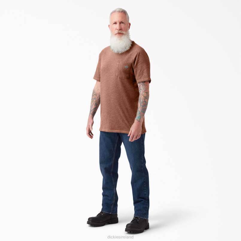 Dickies Men Cooling Short Sleeve T-Shirt Cork Single Dye Heather (C2K) N80J541 Apparel