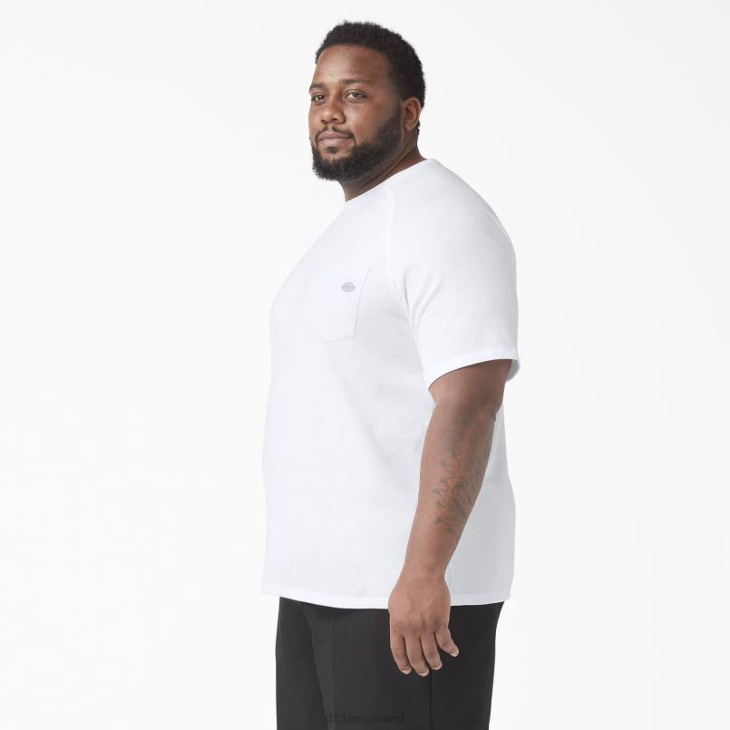 Dickies Men Cooling Short Sleeve T-Shirt White (WH) N80J555 Apparel