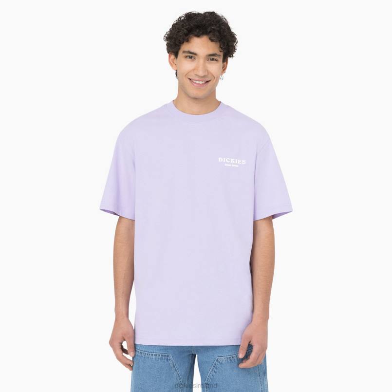 Dickies Men Oatfield Short Sleeve T-Shirt Purple Rose (UR2) N80J756 Apparel