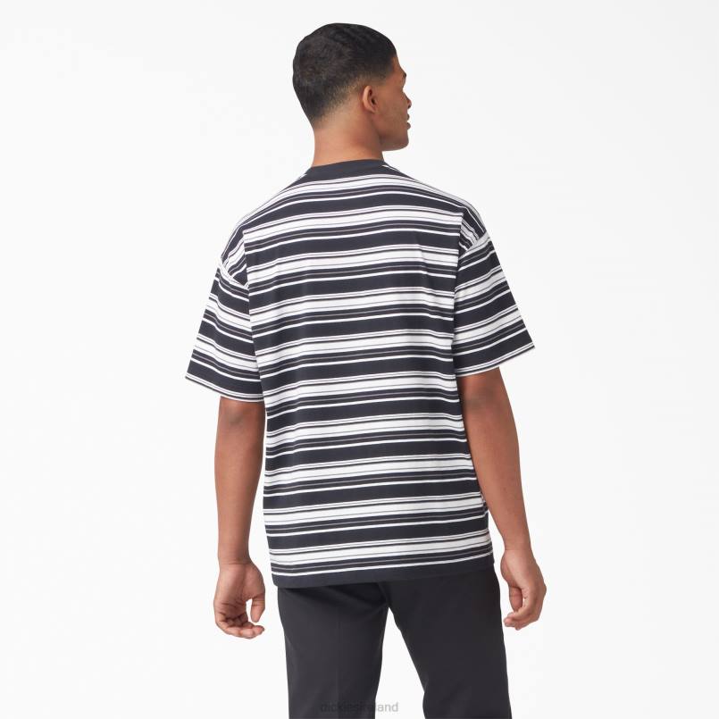 Dickies Men Relaxed Fit Striped Pocket T-Shirt Black Variegated Stripe (BSA) N80J743 Apparel