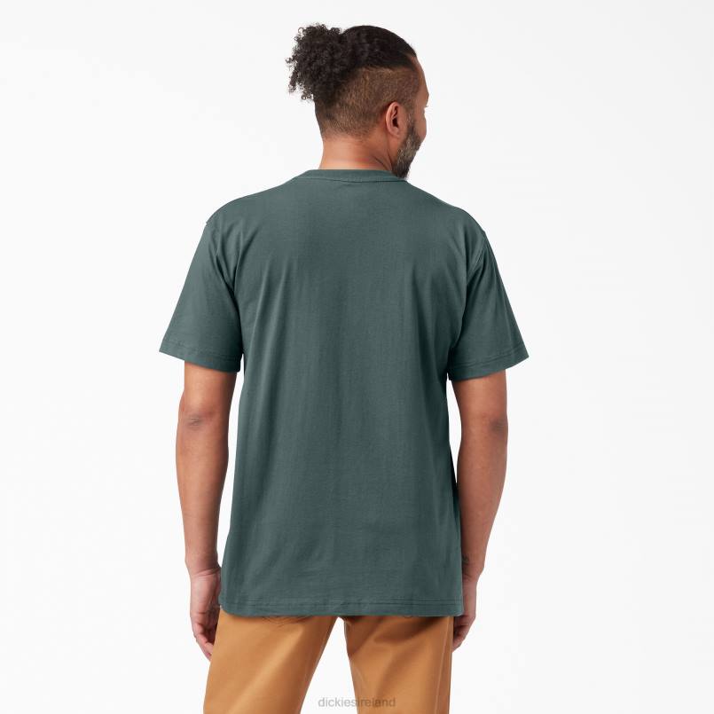 Dickies Men Short Sleeve Heavyweight T-Shirt Lincoln Green (LN) N80J518 Apparel